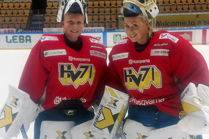 Axelent sponsors HV71 who won the SC-Gold 2017